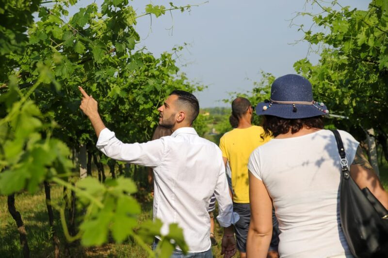 Lazise: Biodynamic Farm Tour and Natural Wine Tasting - An In-Depth Look at the Biodynamic Farm Experience in Lazise