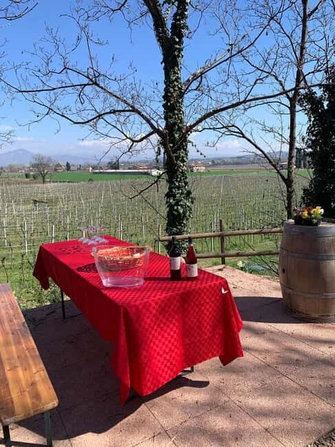Lazise: Biodynamic Farm Tour and Natural Wine Tasting - A Closer Look at the Experience