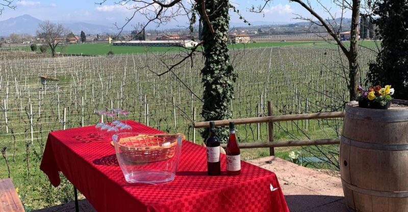 Lazise: Biodynamic Farm Tour and Natural Wine Tasting - Why This Tour Stands Out