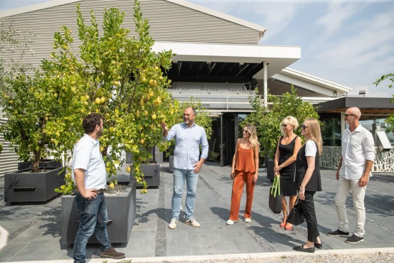 Lazise: Vineyard Tour and Organic Wine Tasting - Introduction: A Taste of Veneto’s Organic Winery Experience