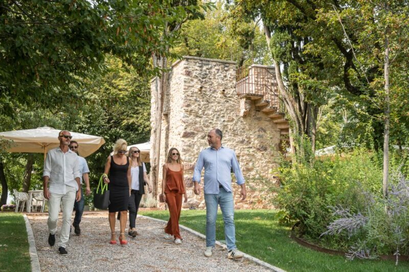 Lazise: Vineyard Tour and Organic Wine Tasting - Key Points
