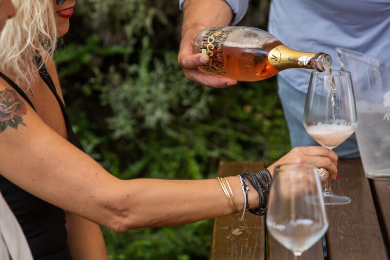 Lazise: Vineyard Tour and Organic Wine Tasting - Authentic Reviews: What Visitors Say