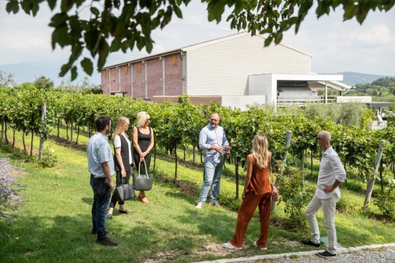 Lazise: Vineyard Tour and Organic Wine Tasting - Why This Tour Is Worth Considering
