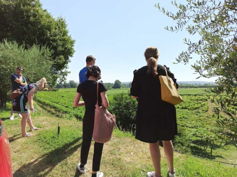 Lazise: Winery Tour with Garda Wines and Food Tasting - Final Thoughts