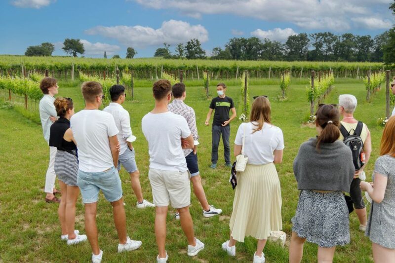 Lazise: Winery Tour with Garda Wines and Food Tasting - FAQs