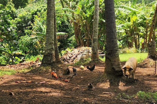 'Lazy Sunday' Sunday Bicycle Tour - An In-Depth Look at the Lazy Sunday Bicycle Tour