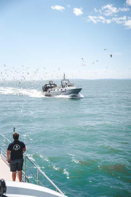 Le Grau-du-Roi - Sea trip to meet the fishing trawlers - What Could Be Better
