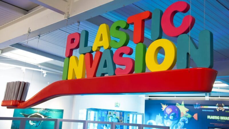 Le Grau-du-Roi: Seaquarium Skip-the-Line Entrance Ticket - The Sum Up