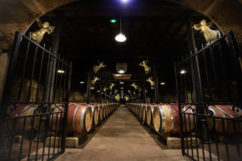 Le Hameau Duboeuf: The 1st Vine and Wine Theme Park Tour - Key Points