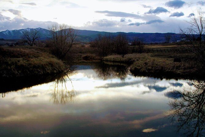 Leadership & Mindfulness Retreat with Horses - Individual & Group - Frequently Asked Questions