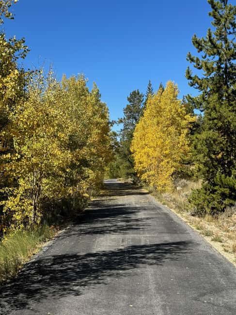 Leadville: 2-Hour Guided E-Bike Tour - The Details of the Experience