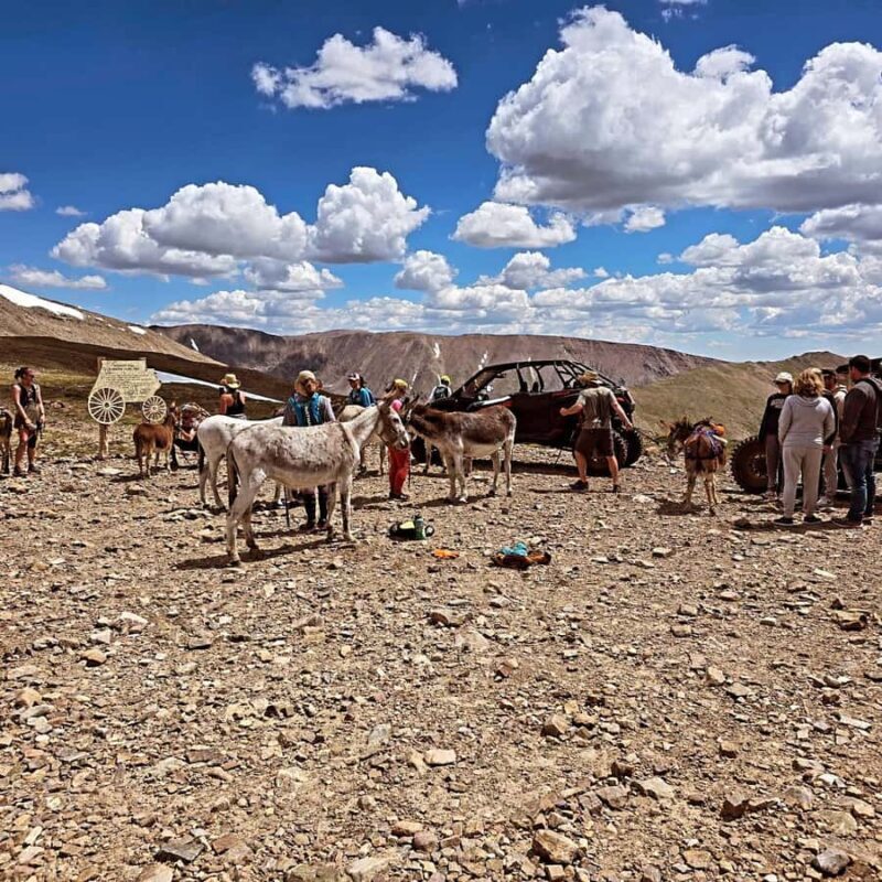 Leadville: Guided UTV Summer Tour - Key Points