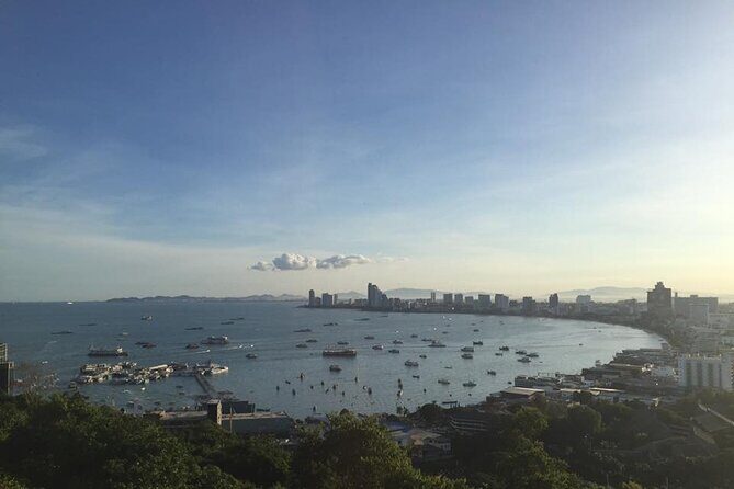 Leamchabang Pattaya & Koh Larn Island Full-Day Private Tour LP5 - The Highlight: Koh Larn