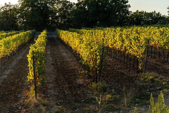 Learn how to make pizza and Tiramisù Cooking Class in Siena - Final Thoughts