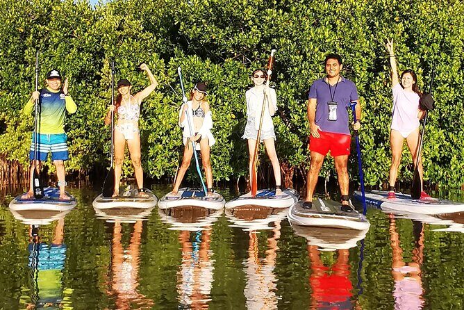 Learn Paddle Board and Explore the Mangroves of Progreso - The Sum Up: Who Should Consider This Tour?