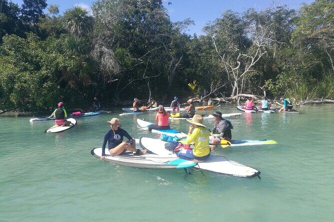 Learn Paddle Board and Explore the Mangroves of Progreso - FAQ