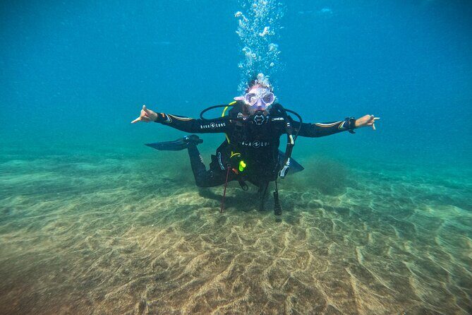 Learn Scuba Diving in Tenerife with Photos Included - Dive Into Authentic Experiences