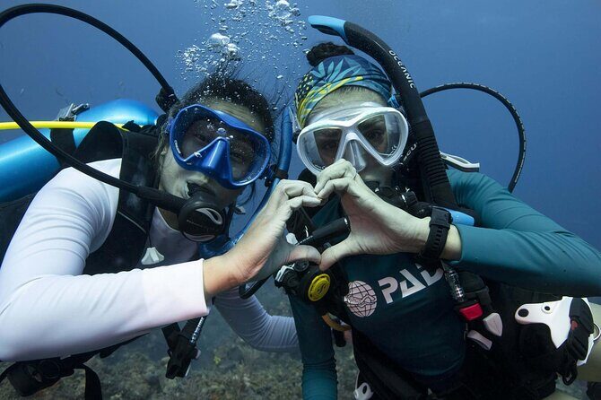 Learn Scuba Diving in Tenerife with Photos Included - FAQ