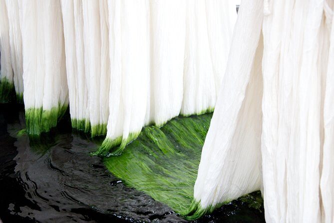 Learn The Art Of Textile Dyeing In Sanganer, Near Jaipur - Exploring the Textile Dyeing Experience in Sanganer