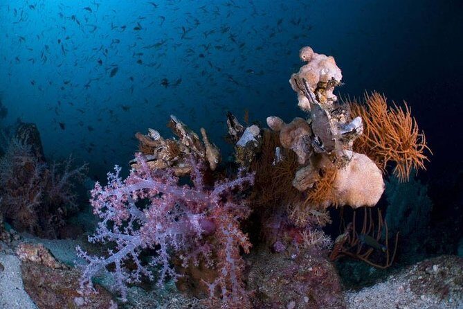 Learn to dive in 2 days Scuba Diver course - Key Points