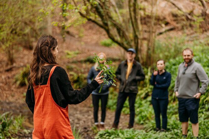 Learn to forage in Llangollen - Why This Tour Offers Value