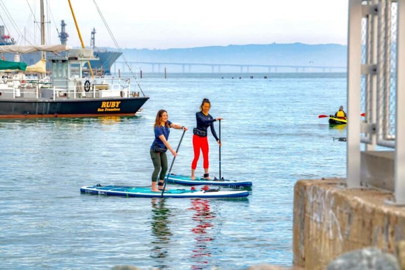 Learn to Paddle Board on the San Francisco Bay! - Key Points