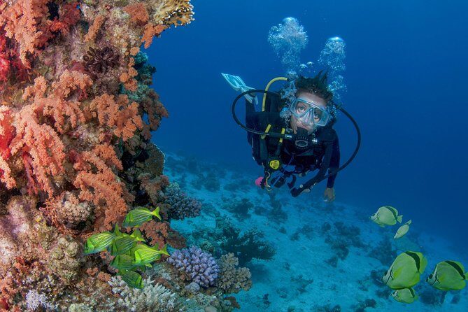 Learn to Scuba Dive in Cabo San Lucas with PADI - What’s Included and What’s Extra