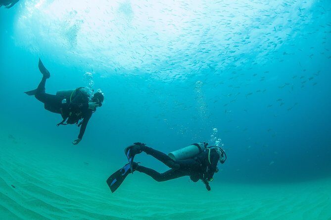 Learn to Scuba Dive in Cabo San Lucas with PADI - The Reviewers’ Perspectives