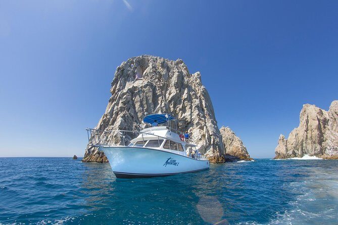 Learn to Scuba Dive in Cabo San Lucas with PADI - Who Will Enjoy This Tour?