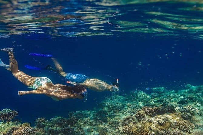Learn to surf with Fuvahmulah Surf School - Who Will Love This Tour?