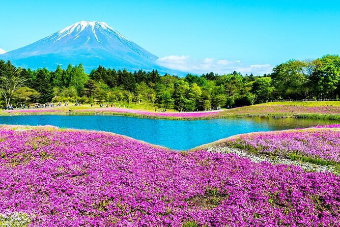 Learnig History of Tokyo in Depth with a Certified tour guide - The Sum Up