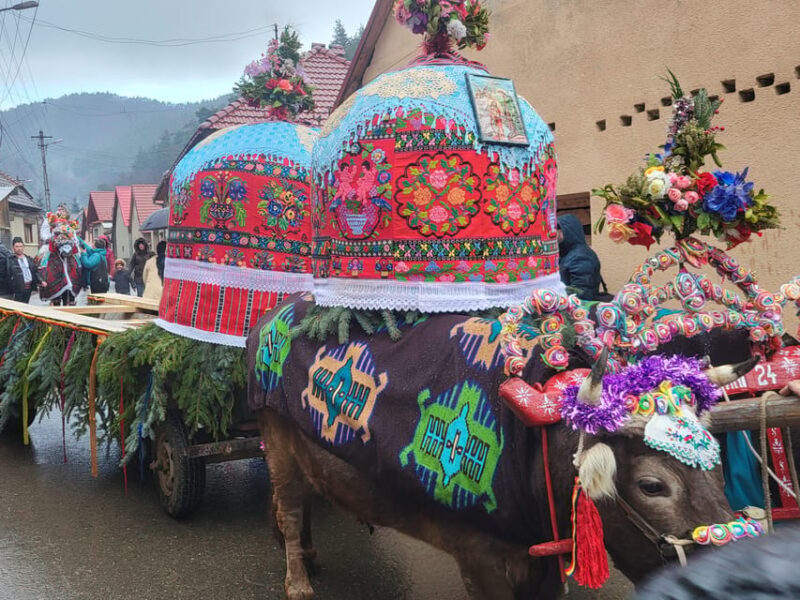 Learning toghether Transylvanian dances in Sibiu - Key Points