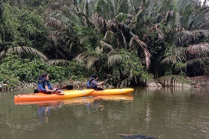 Lebam River Kayaking Adventure - In-Depth Look at the Lebam River Kayaking Adventure