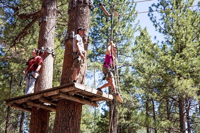 Ledgewood Adventure Course - An In-Depth Look at the Ledgewood Adventure Course