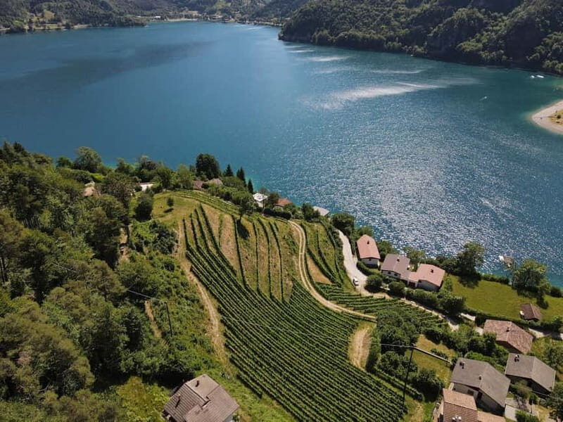 Ledro Lake: Guided Tour & Wine Tasting Among the Vines - Key Points