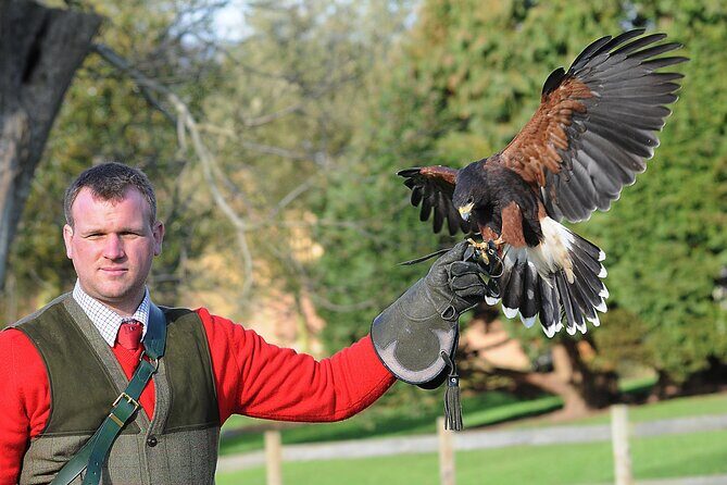 Leeds Castle Admission - Ultimate Explorer Tickets - The Sum Up