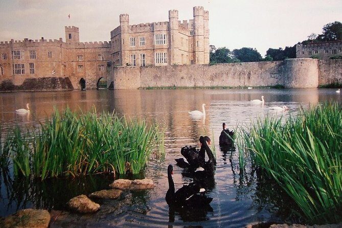 Leeds Castle, Canterbury and White Cliffs of Dover - Driver Guide - Authentic Insights from Travelers