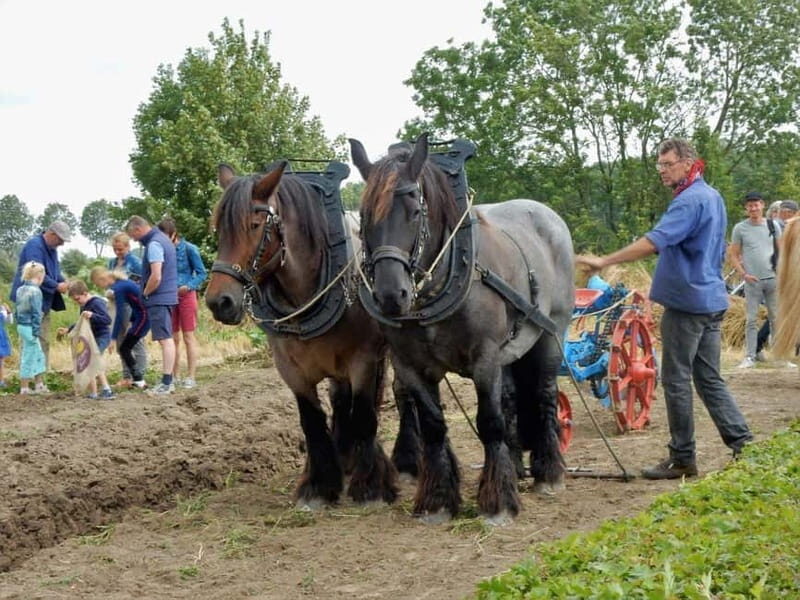 Leens: Museum Borg Verhildersum - What the Reviews Say
