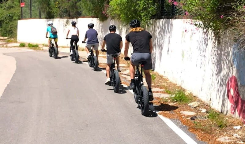 Lefkada: Mountain Gems Electric Fat Bicycle Tour & Tasting - Practical Details and Value
