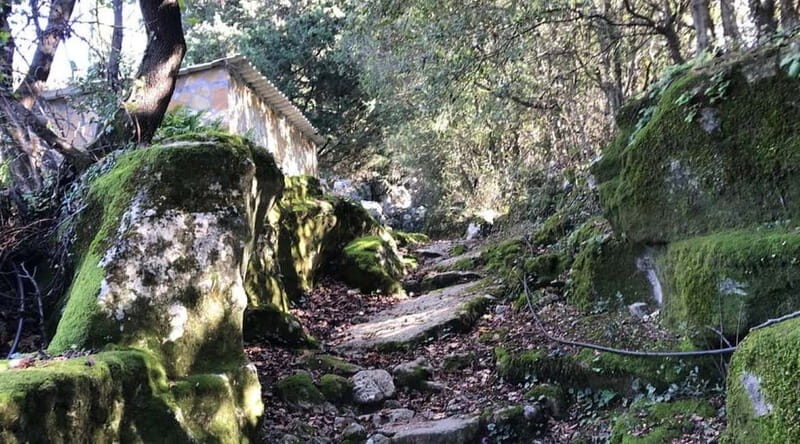 Lefkada: Path of Springs Hike with Olive Oil Tasting - Key Points