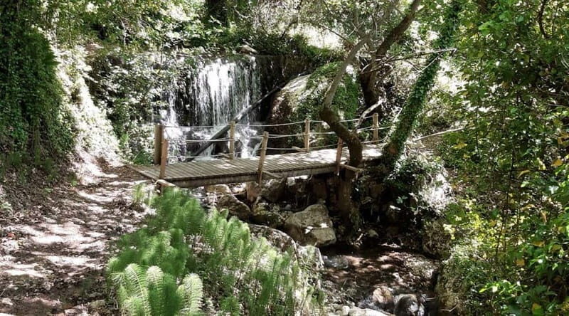 Lefkada: Path of Springs Hike with Olive Oil Tasting - Who Should Consider This Tour?