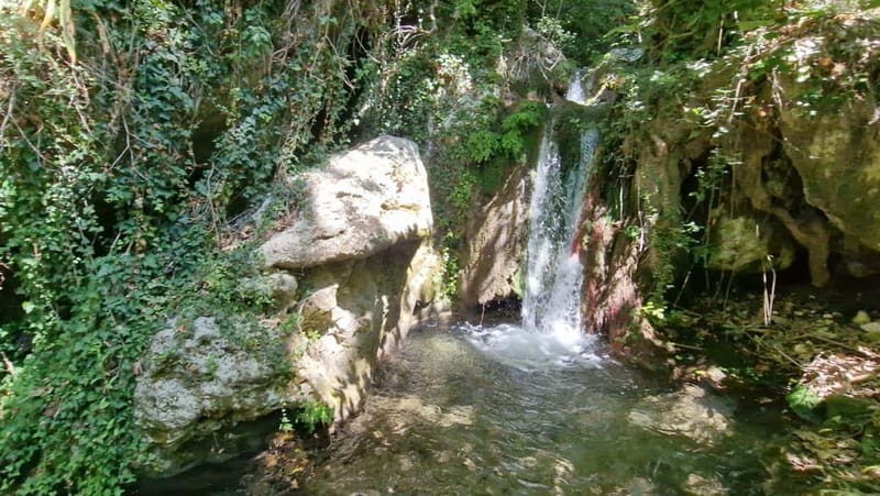 Lefkada: Path of Springs Hike with Olive Oil Tasting - FAQ