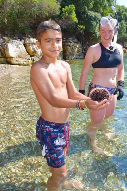 Lefkada: Private Marine Wildlife tour - Final Thoughts: Is It Worth It?