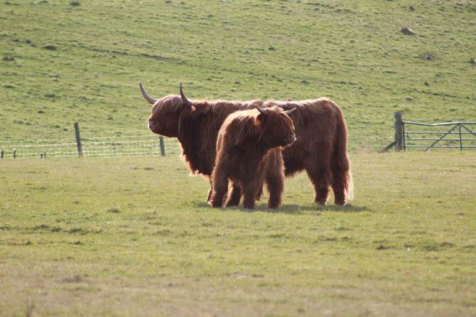 Legendary Loch Ness and Urquhart Castle Tour - Final Thoughts