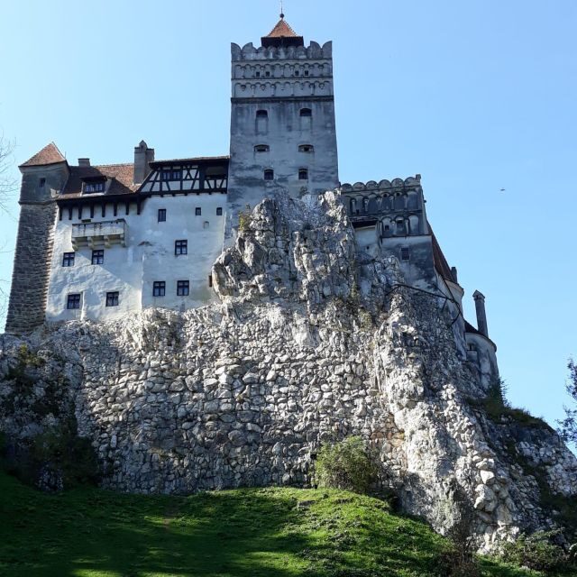 Legends&Wildlife Awaits: Dracula's Castle & Bear Sanctuary - A Deep Dive into the Experience