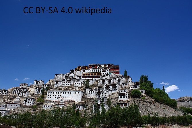 Leh Monastry Half Day Tour - Key Points