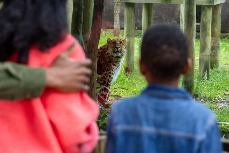 Leicestershire: Twycross Zoo Entry Ticket - How Reviews Reflect the Experience