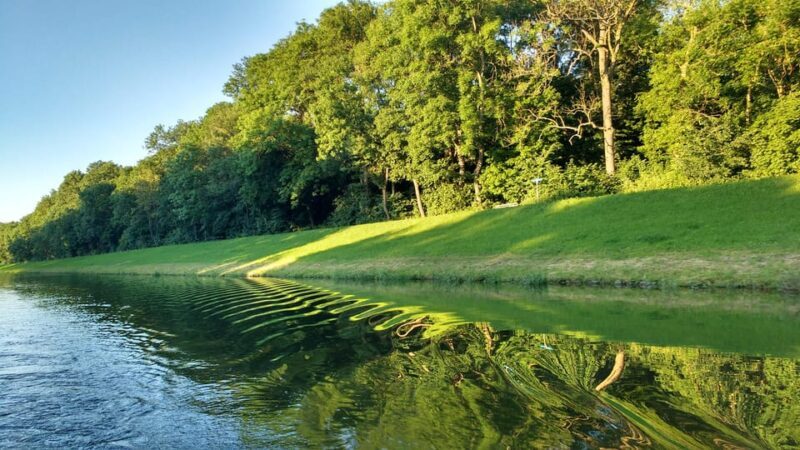 Leipzig: 2-hour Auwald Motorboat Tour - What You Can Expect from the Tour