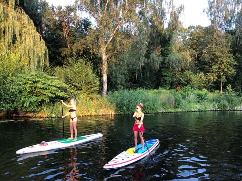 Leipzig: Cospudener Lake Stand-Up Paddleboard Course - Key Points