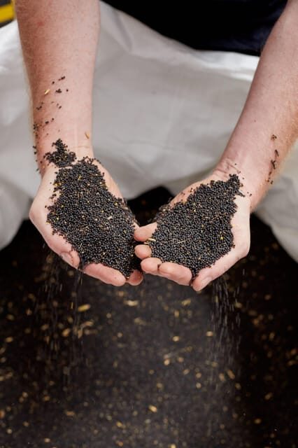 Leipzig oil mill: guided tour & tasting - Who Should Consider This Tour?